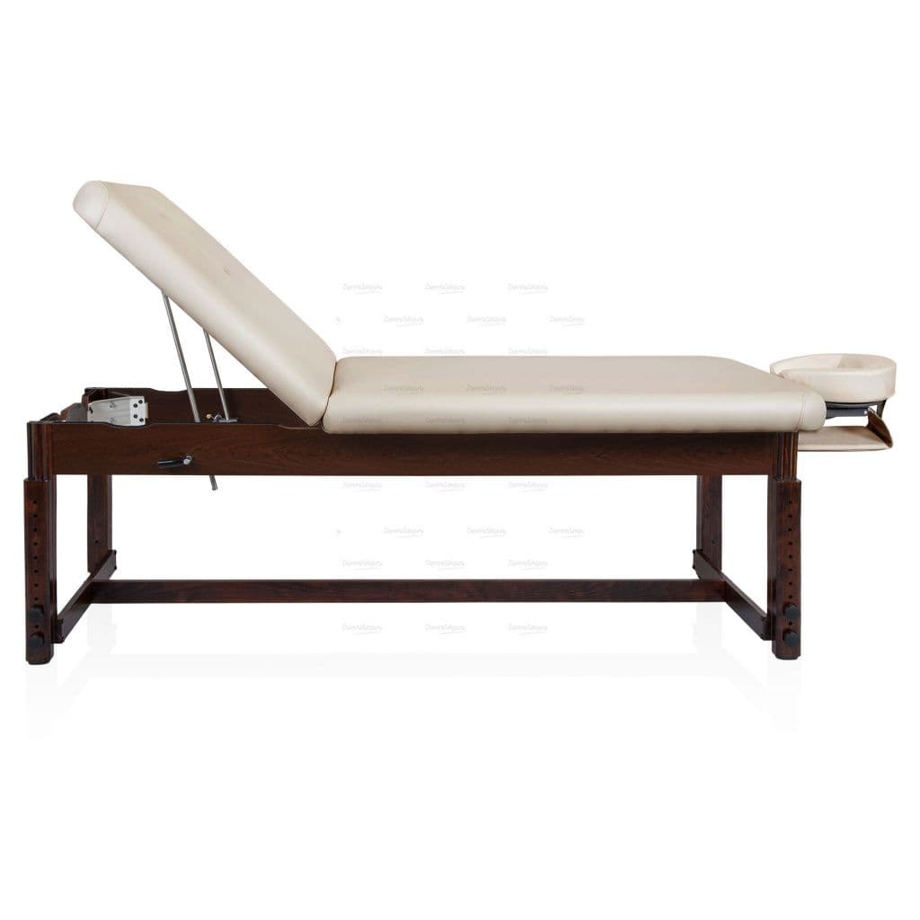 Массажный стационарный стол Mizomed Essence-Tilt SET3S30+H картинки Мизомед 46495 